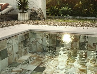 Amazonia  
