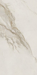 Calacatta gold (60*120) кер. (0,72/2/1,44) (16 вар.)